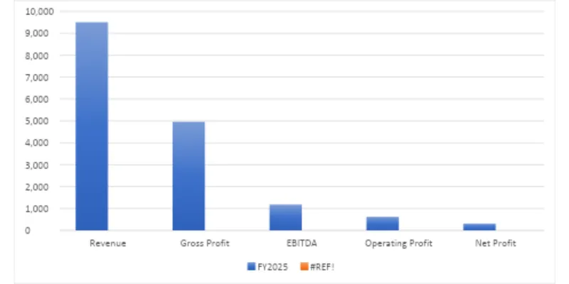 Financial Summary Table